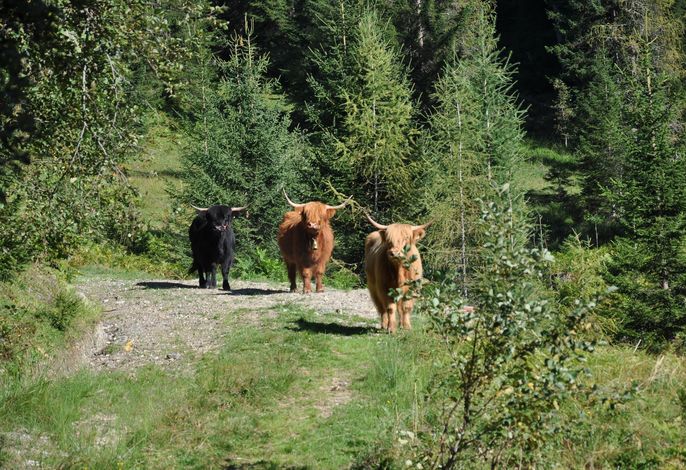 Bild 19