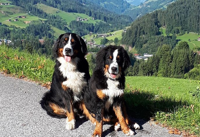 Bild 12