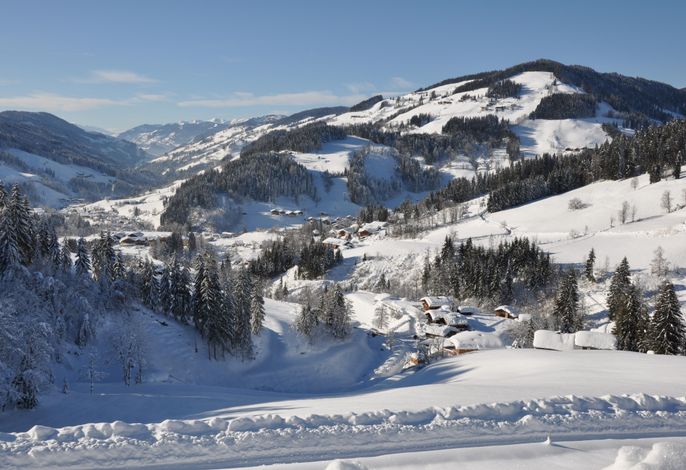 Bild 22