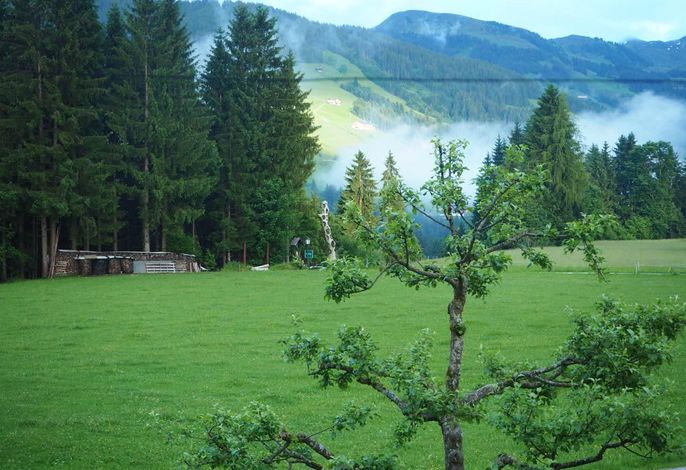 Bild 23