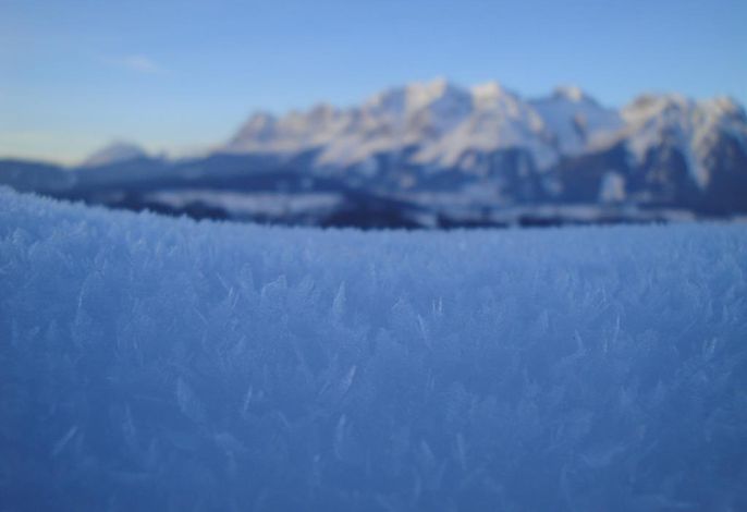 Bild 100
