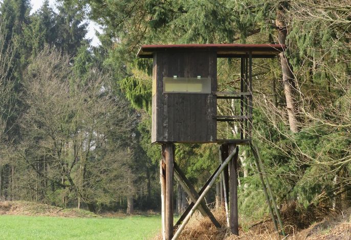 Bild 15