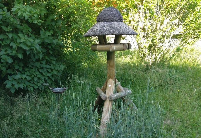 Bild 14