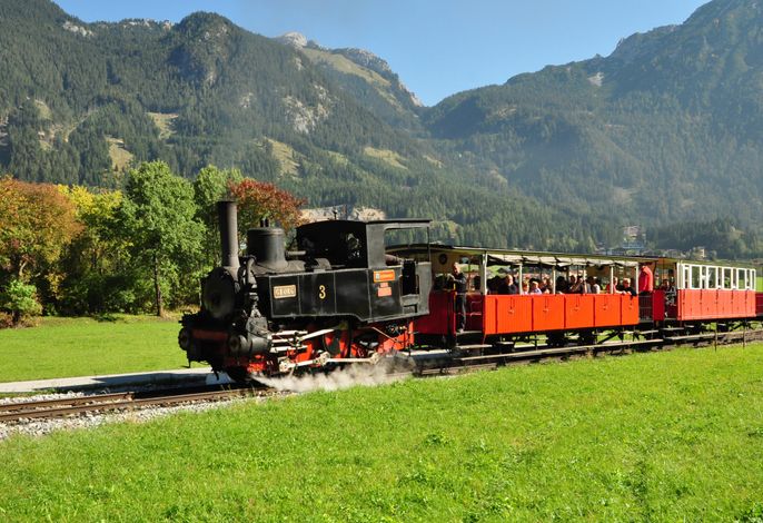 Bild 51