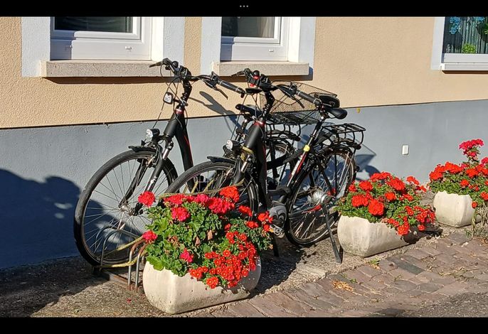 Bild 22