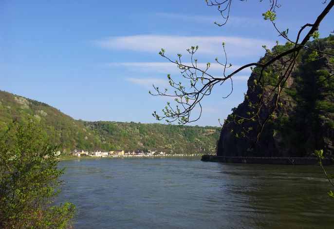 Bild 10