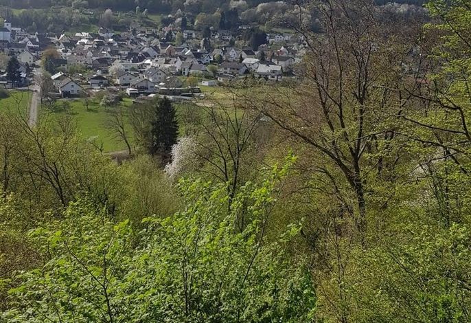Bild 9