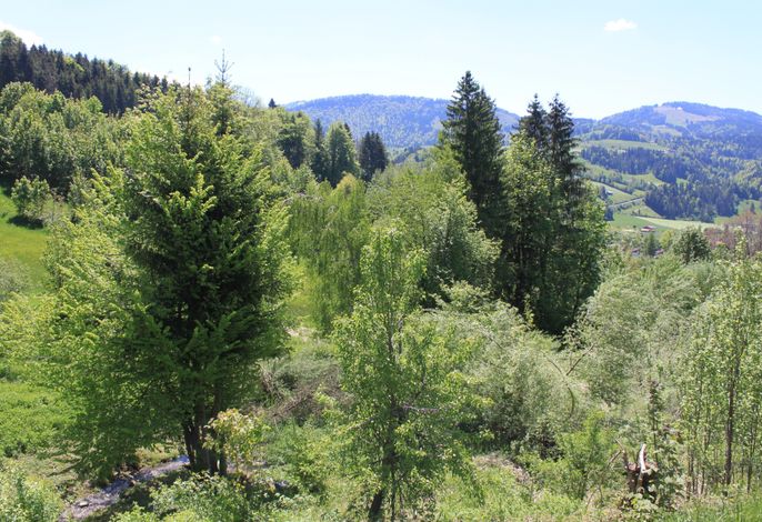 Bild 7