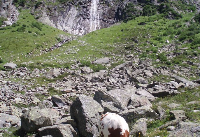 Bild 22