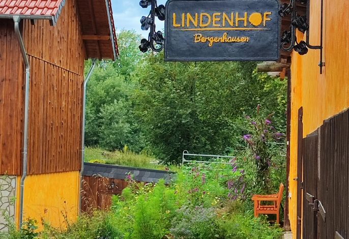 Bild 19