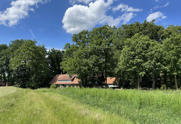 Bild 14