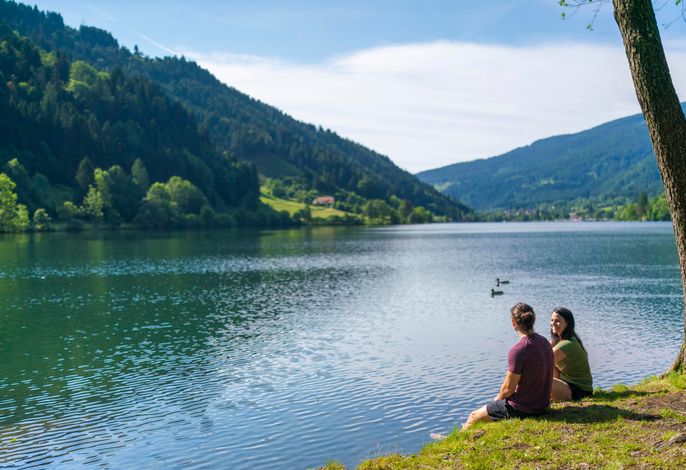 Bild 77
