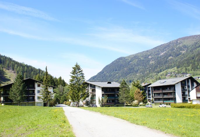 Appartement 38 m² , Typ D