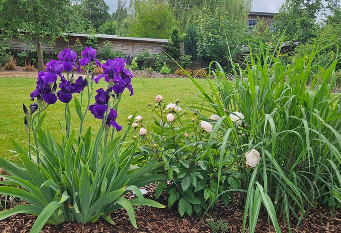 Gartenbungalow Rhönherz – Foto 5
