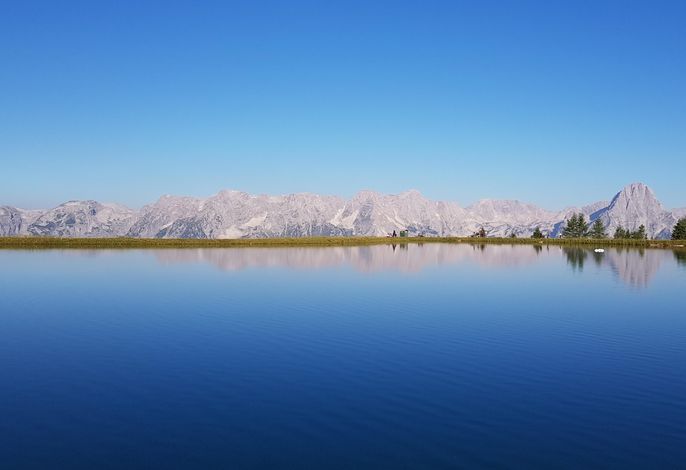 Bild 36