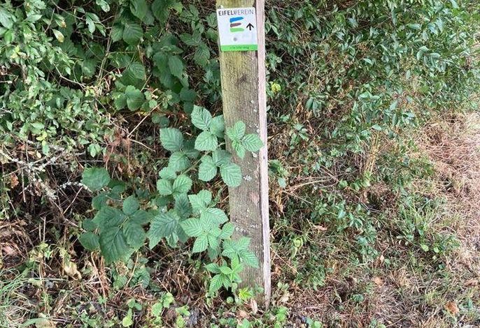 Bild 17