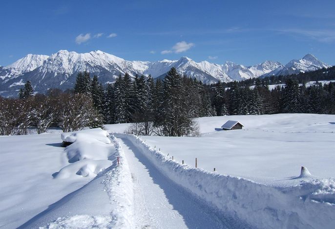 Bild 22