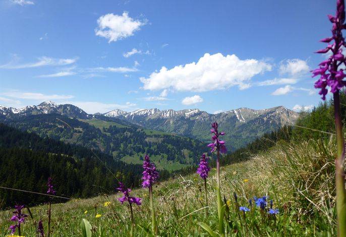 Bild 13