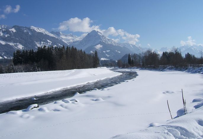 Bild 19