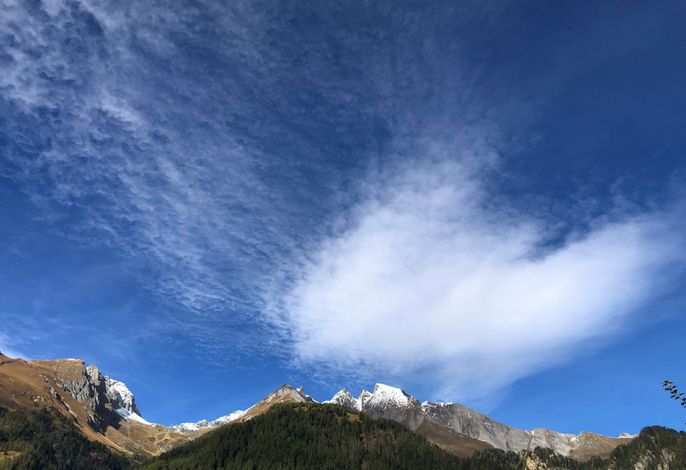 Bild 18
