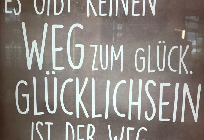 Bild 51