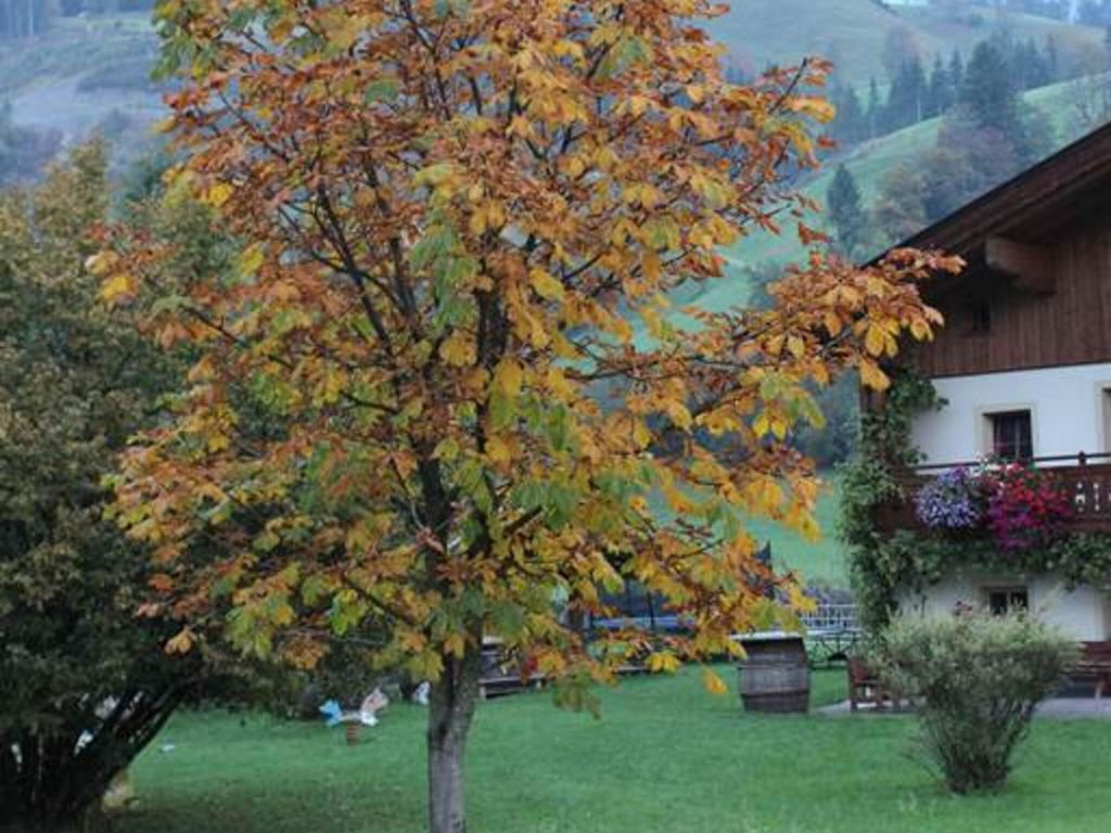 Zieferhof