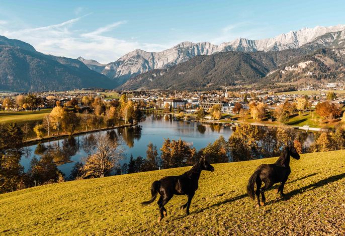 Bild 10