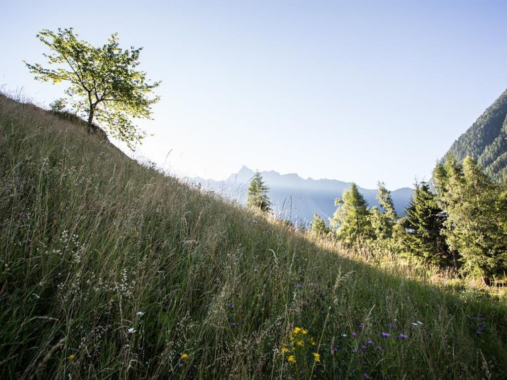 Ferienwohnungen und Chalets Pienz-Bobnar