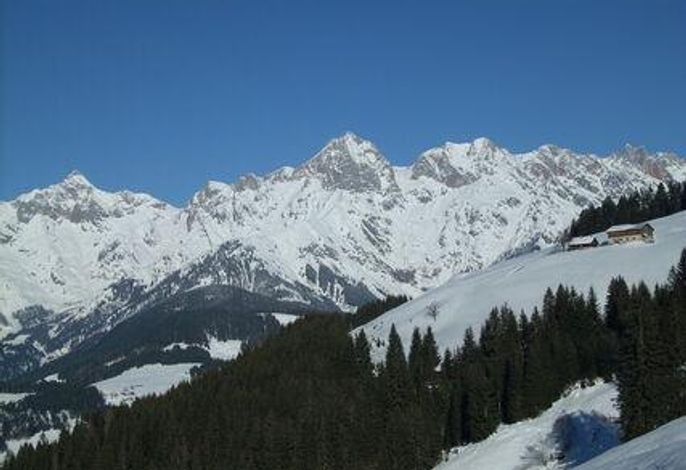 Bild 35