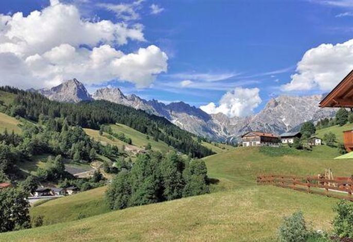 Bild 15