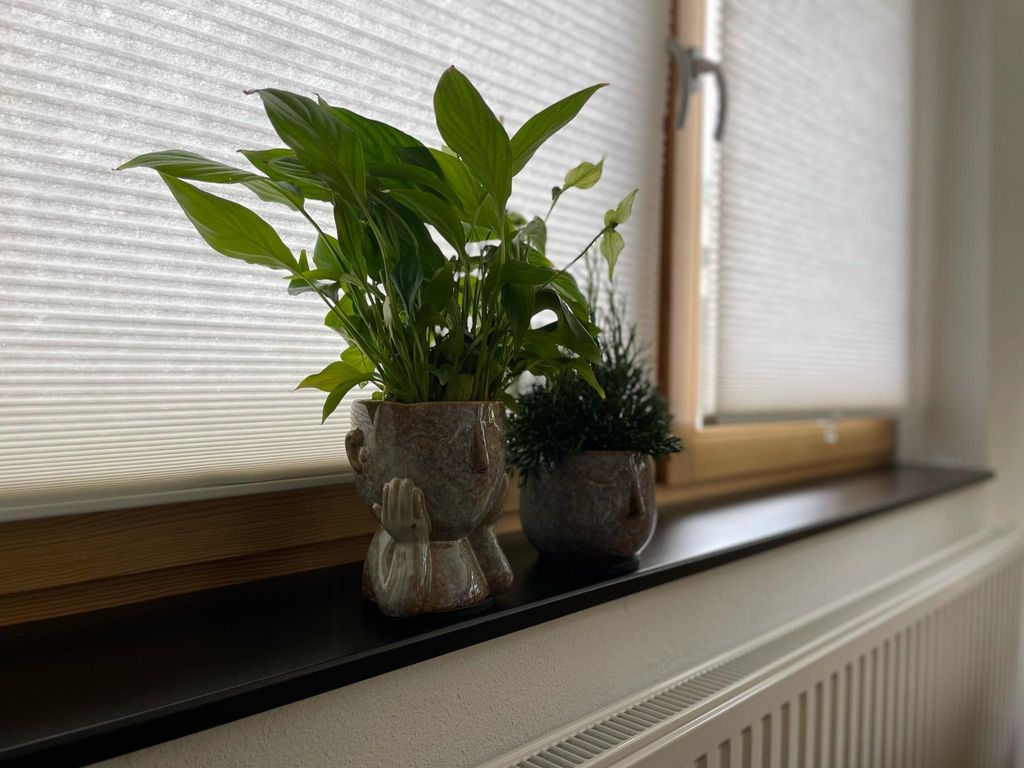 Ferienhaus KIWE5
