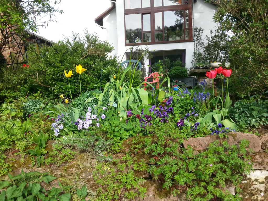 Paradiesgarten am Saaleufer