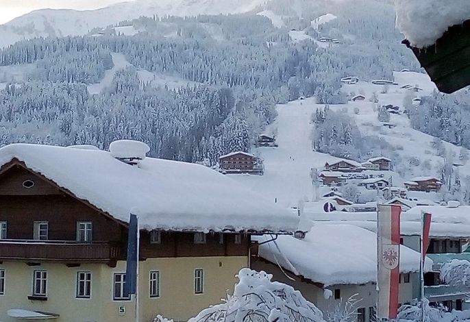 Bild 15