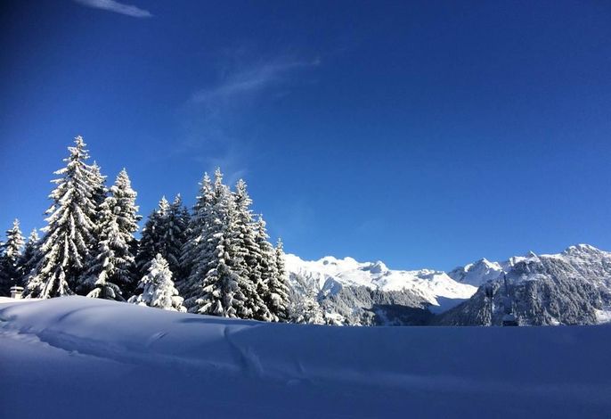 Bild 18