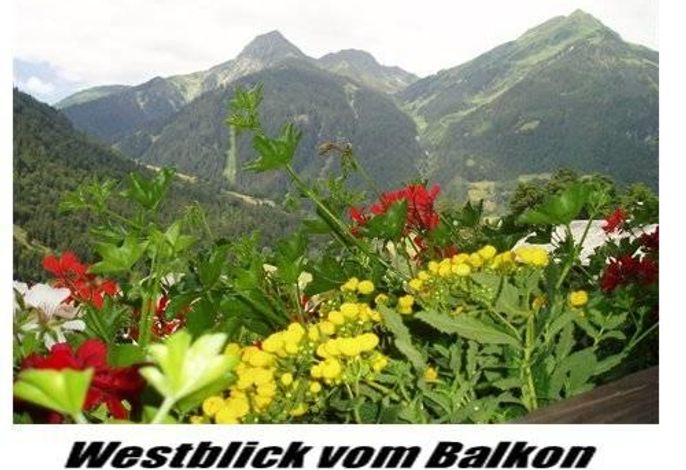 Bild 31