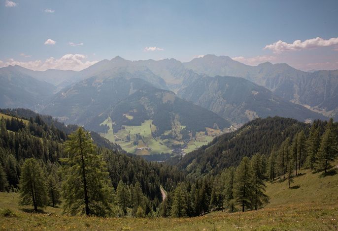 Bild 15