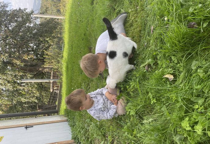 Bild 13