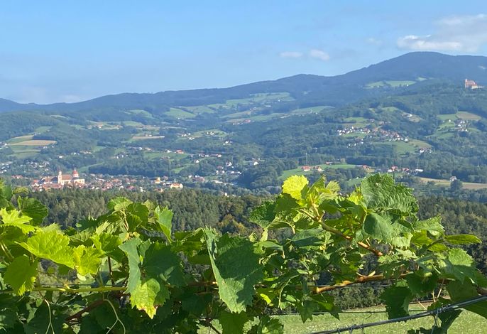 Bild 20