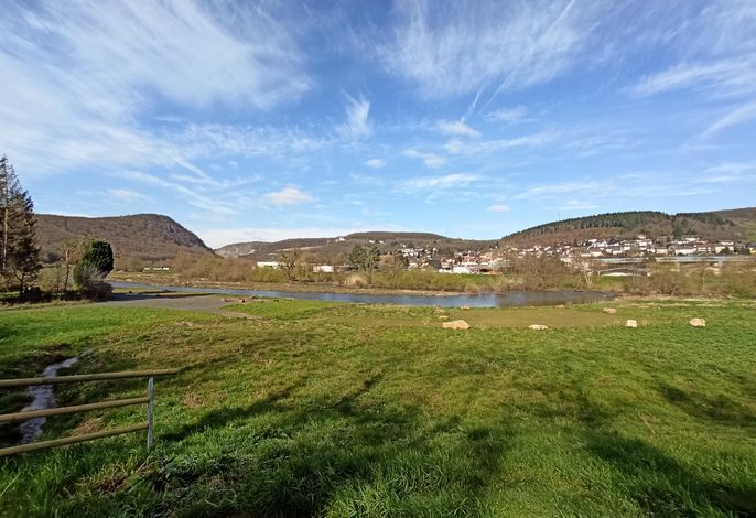 Bild 12