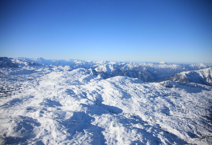 Bild 33