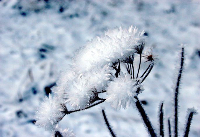 Bild 38