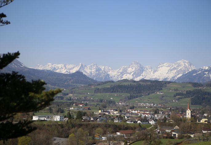 Bild 19