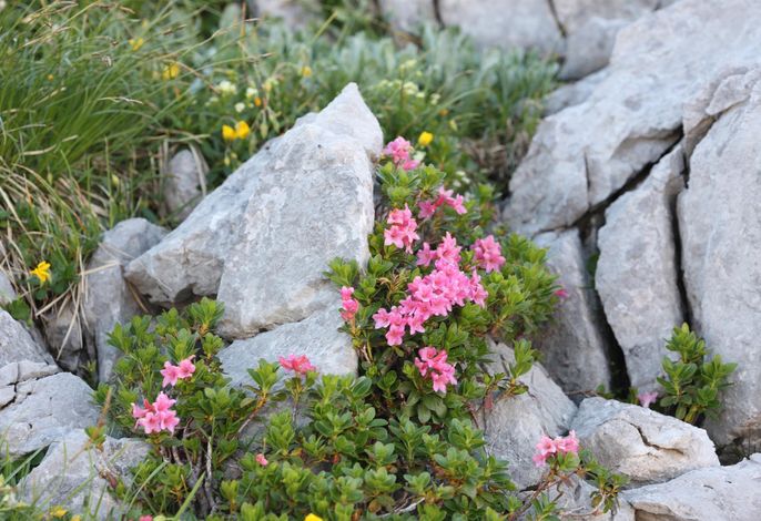 Bild 15