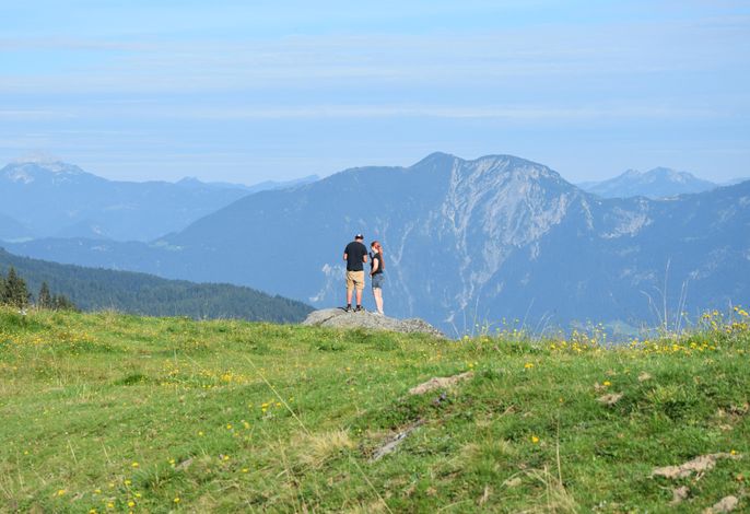 Bild 50