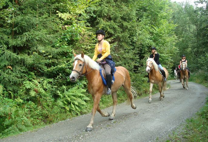 Bild 24
