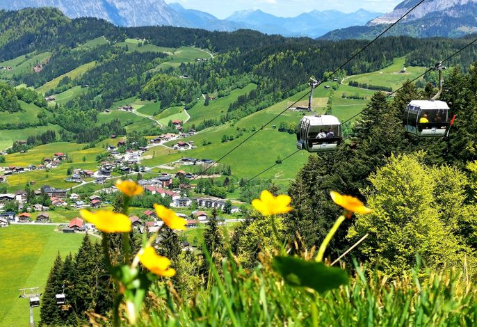 Bild 11