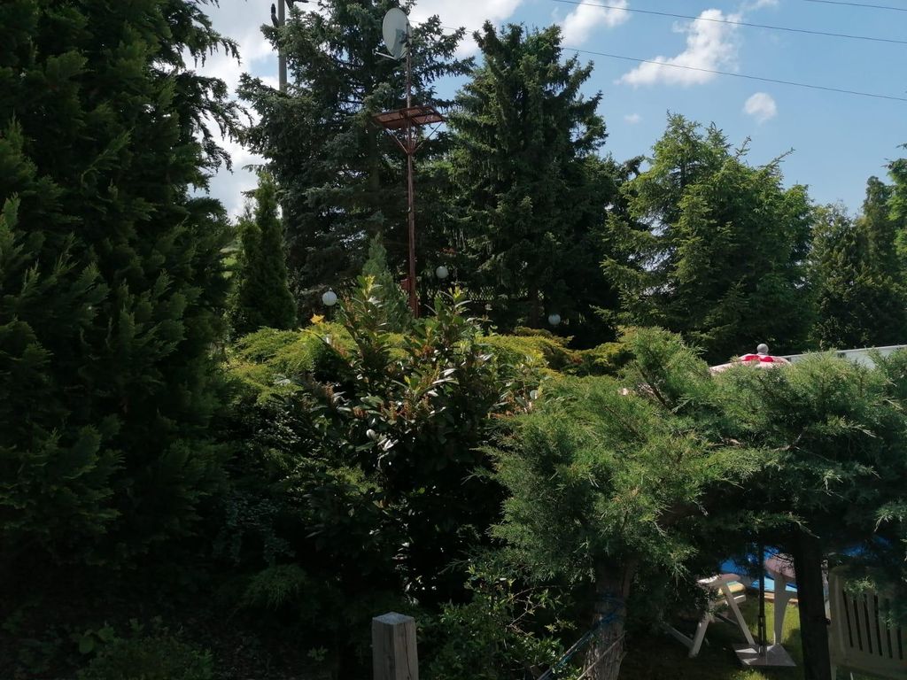 Häuschen in grüner Idylle