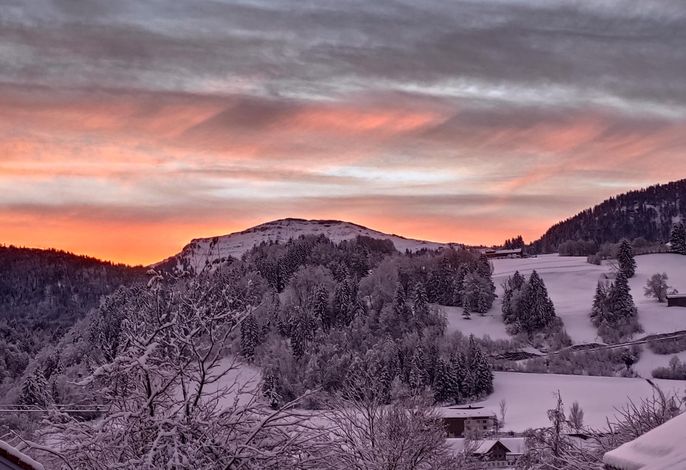 Bild 19