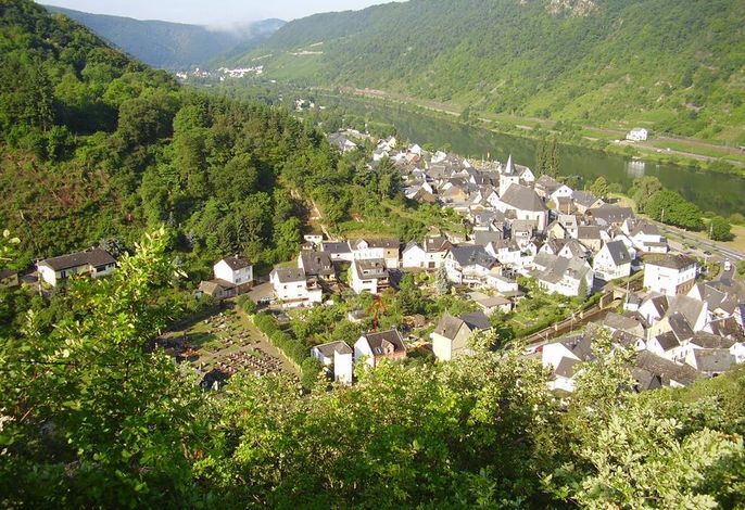 Bild 14
