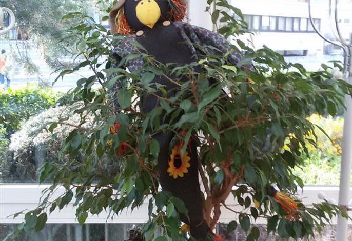 Bild 17
